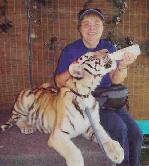 Janis feeding a Royal Bengal Tiger cub at 2003 Western Idaho Fair