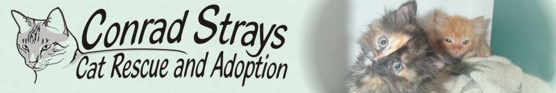 Click to go to Conrad Strays