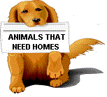 Click here to see if we have any animals that need a good home.