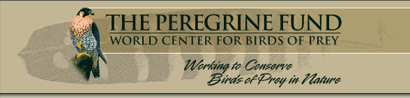 Click here to visit The World Center for Birds of Prey